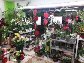 Fleuriste PATTON FLEURS 2