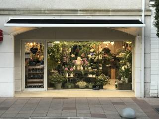 Fleuriste A DECO FLEURS Fleuriste Andernos 0