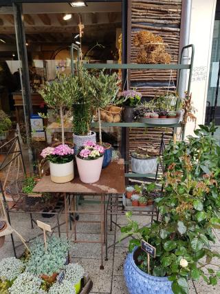 Fleuriste Camaïeu L’atelier 0