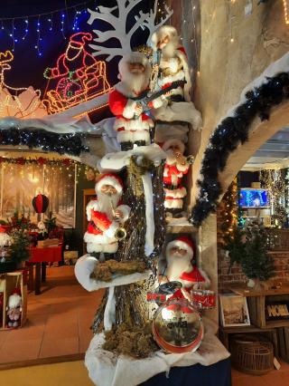 Fleuriste Baobab - Jardinerie Créative 0