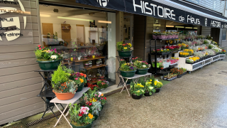 Fleuriste Histoire de fleurs 0