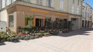 Fleuriste ART BOUTIQUE 0