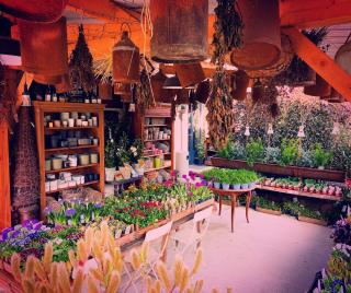 Fleuriste Passion Verte 0