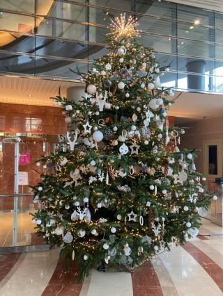 Fleuriste Passion Verte 2