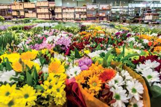 Fleuriste Le Jardin 0