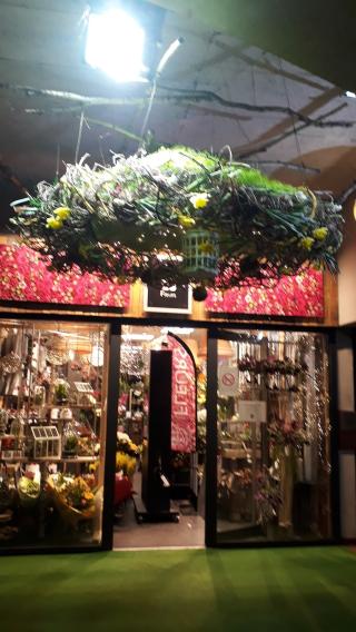 Fleuriste Fleurs & Fleurs 0