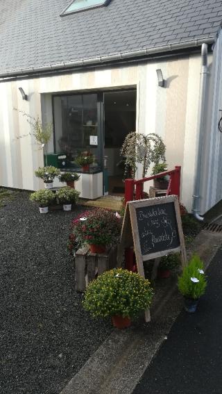 Fleuriste Herbe et Brindille 0