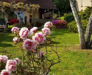 Fleuriste Les Amis Des Fleurs 0