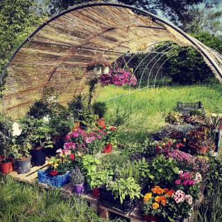 Fleuriste Pauline Fleurs et Plantes 1