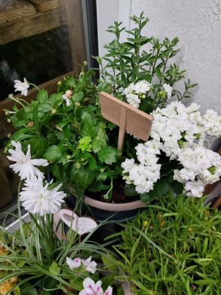 Fleuriste Fleurs & Cie 2