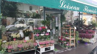 Fleuriste Loiseau Fleurs Sté 0