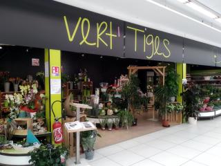 Fleuriste Vert Tiges 0