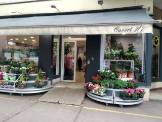 Fleuriste Ana Flowers 0