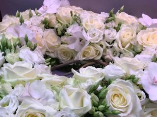 Fleuriste Florishop 1