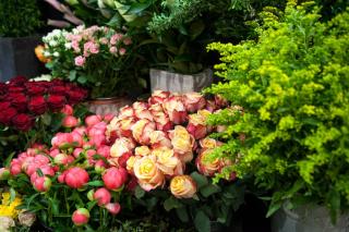 Fleuriste Florishop 0