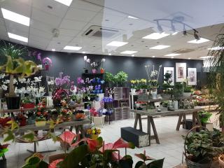 Fleuriste Flor Halle 0