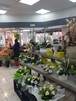 Fleuriste Flor Halle 0
