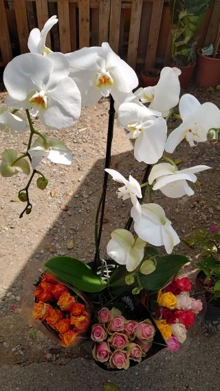 Fleuriste Aaah la fresh'up 0