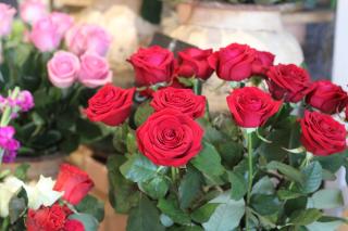 Fleuriste Aux Floralies 0