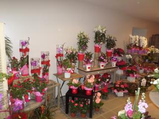 Fleuriste Brin d'nature 1