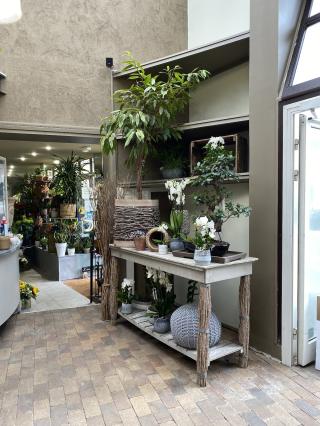 Fleuriste Fleurville SA 0