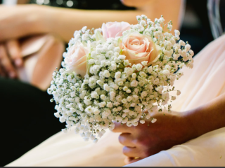 Fleuriste Lily Rose 0