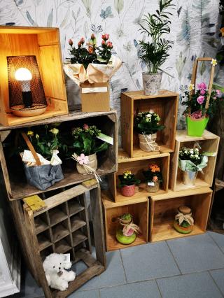 Fleuriste Maggy Fleurs 0