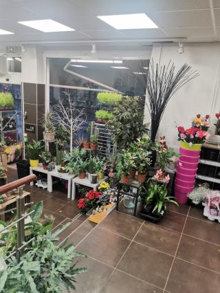 Fleuriste Garden fleurs 1