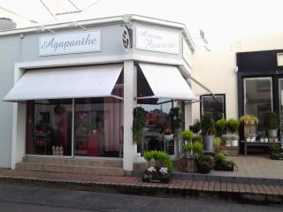 Fleuriste Agapanthe 0