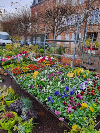 Fleuriste Au parfum floral 0