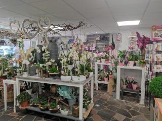 Fleuriste Au Cyclamen - Fleuriste Remiremont 0
