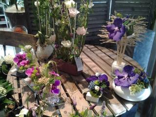 Fleuriste Allons Voir Si La Rose 0