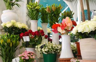 Fleuriste Loiseau Fleurs Sté 0