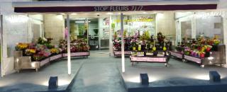 Fleuriste Stop Fleurs 0