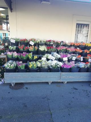 Fleuriste FLEURS PASSION AND CO 0