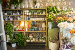 Fleuriste La Graine et l'Arrosoir 0