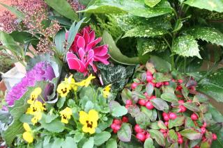 Fleuriste Lecerre Fleurs 0