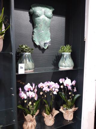 Fleuriste Agapanthe 0