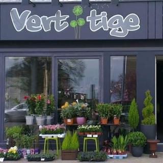 Fleuriste Vert tige 0