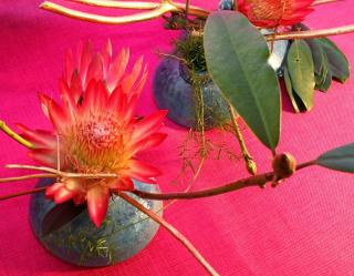 Fleuriste Moribana 0