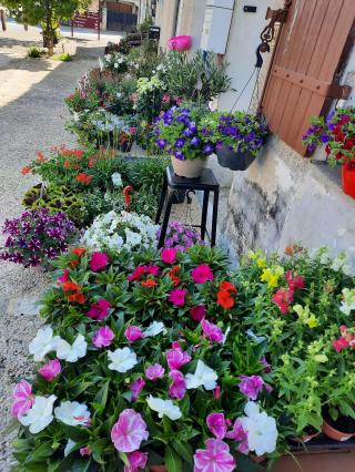 Fleuriste Fleuriste 0