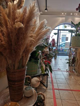 Fleuriste Carthamus 2