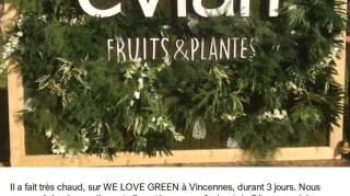 Fleuriste SAINT THIBAULT - LOCATION DE PLANTES 0