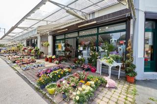 Fleuriste Volubilis Fleurs (colis au 2ème magasin) 0