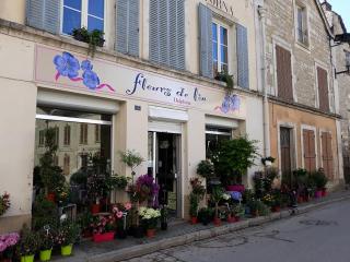 Fleuriste Delphine - Fleurs de Lin 0