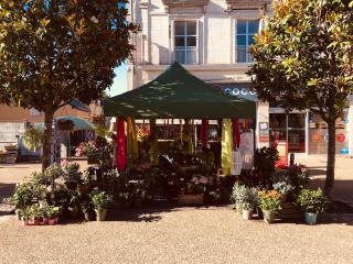 Fleuriste Aux Fleurs d'Antan 0