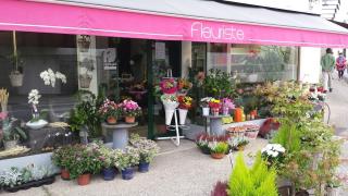 Fleuriste FEUILLES ET FLEURS GUIDEL 0