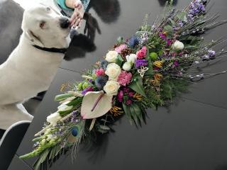 Fleuriste Bougainvillée SARL 0