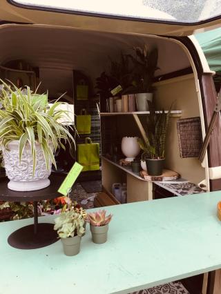 Fleuriste Aux Fleurs d'Antan 1