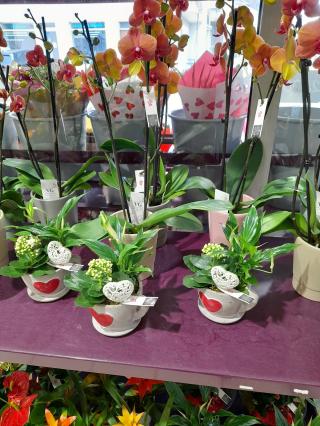 Fleuriste Coeur de fleurs 0